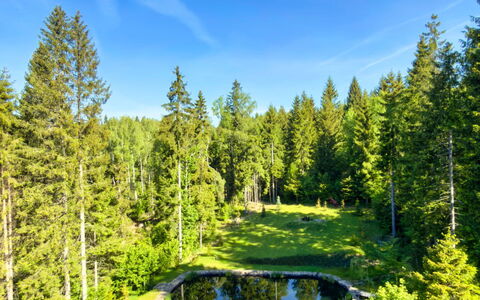 Valera Vita Forest: Grün, Natürliche Landschaft, Garten, Wald, Landscaping, Lärche, Teich, Immergrün, Botanischer Garten