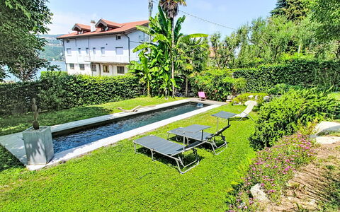 Emma: Strauch, Schwimmbad, Garten, Rasen, Landscaping, Hinterhof, Resort, Garten, Estate, Water Feature