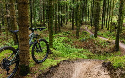 Henri - 700M from the Sea: Fahrrad, Fahrrad-Rad, Mountainbiking, Wald
