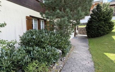 Lenk 755: Strauch, Garten, Ground, Landscaping, Walkway, Auffahrt, Garten, Hecke, Immergrün