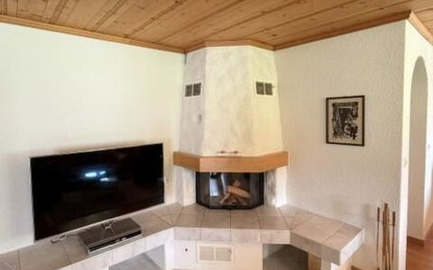 Lenk 755: Interior Design, Holz, Flooring, Fussboden, Möbel, Feuerstelle, Decke, Zimmer, Wohnzimmer, Fernsehen
