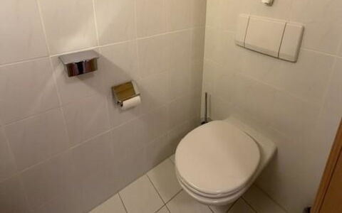 Lenk 755: Toilleten Sitz, Toilette, Wand, Badezimmer, Flooring, Fussboden, Armatur, Fliese, Interior Design, Installation