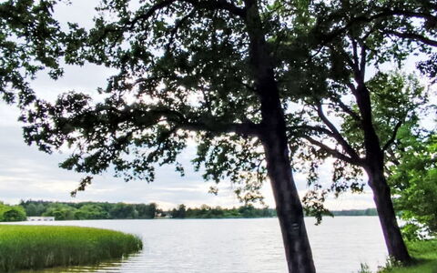 Trebon 1: Wasservorräte, Wasser, Gewässer, Grün, Natur, Natürlichen Umgebung, Blatt, Ast, Natürliche Landschaft, Vegetation