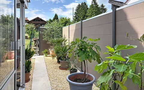 Bionestlein Premium-Appartment mit Sauna: Strauch, Blumentopf, Verbundwerkstoff, Garten, Schatten, Zimmerpflanze, Beton, Landscaping, Hof, Design