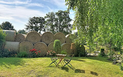Chrischi: Grün, Gras, Strauch, Garten, Rasen, Frühling, Schatten, Wiese