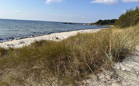 Erich - 500M from the Sea: Küste, Strand, Küsten Und Ozeanische Forms, Ufer, Meer, Ozean, Sand, Bank, Wind Wave