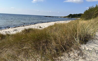 Erich - 500M from the Sea