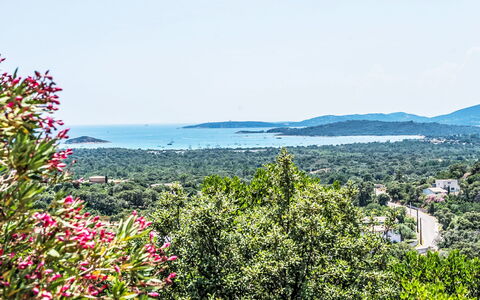Sainte Lucie Porto Vecchio 650: Balkon, Holzbeize, Zimmerpflanze, Gartenmöbel, Blumentopf