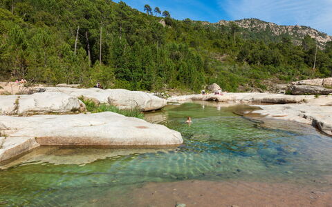 Sainte Lucie Porto Vecchio 650: Balkon, Holzbeize, Zimmerpflanze, Gartenmöbel, Blumentopf