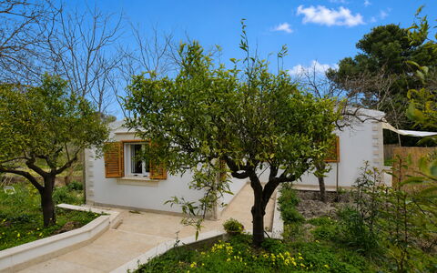 La Dimora di Diana: Strauch, Garten, Hütte, Schatten, Hinterhof, Garten, Landscaping, Hazienda, Bauernhaus