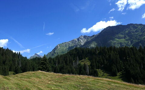 Nido delle Alpi: Himmel, Berg, Blau, Bergforms, Grün, Natur, Natürlichen Umgebung, Hügel, Natürliche Landschaft, Wolke