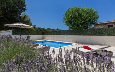 Trošti: Strauch, Garten, Schwimmbad, Landscaping, Blumentopf, Hinterhof, Garten, Gartenmöbel, Hof