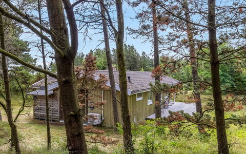 Iivo - 3.5Km from the Sea: Baum, Natürlichen Umgebung, Holz, Ast, Vegetation, Haus, Hütte, Strauch, Zuhause, Pflanzengemeinschaft