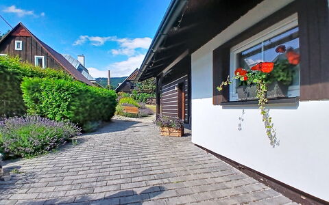 Cerny Dul 400: Haus, Strauch, Die Architektur, Zuhause, Hütte, Ground, Garten, Flagstone, Tür