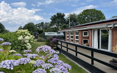 Annalina - 230M from the Sea: Strauch, Ground, Garten, Garten, Landscaping, Schatten, Balkon, Hinterhof, Hortensie