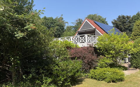 Lonneke - from the Sea: Strauch, Zuhause, Hütte, Garten, Schatten, Garten, Bauernhaus, Rasen, Landscaping, Hinterhof
