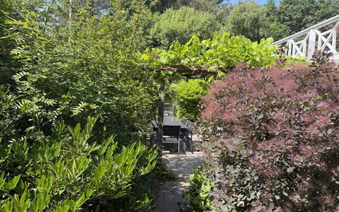 Lonneke - from the Sea: Strauch, Pflanzengemeinschaft, Garten, Gehölz, Landscaping, Hinterhof, Botanischer Garten, Immergrün, Gartenmöbel