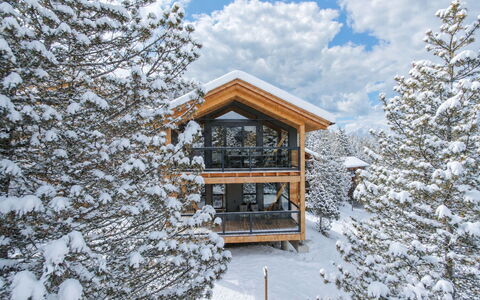 02 Nth050 18A Sup Chalet mit Sauna und Hot Tub 2 e: Holz, Schnee, Winter, Einfrieren, Zuhause, Hütte, Steigung, Blockhaus, Lärche, Holz
