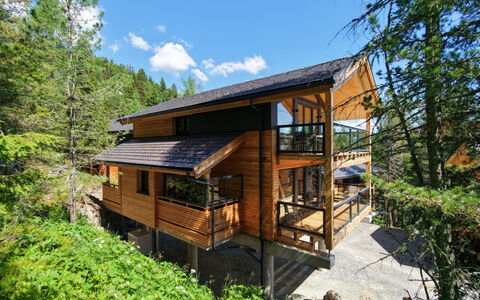 02 Nth055 18F Sup Chalet mit Sauna und Hot Tub 2 e: Holz, Zuhause, Hütte, Hartholz, Blockhaus, Natürliches Material, Holzbeize, Wald, Planke, Holz