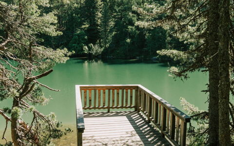 02 Nth054 18E Sup Chalet mit Sauna und Hot Tub 2 e: Natur, Baum, Natürlichen Umgebung, Holz, Wald, Wildnis, Kofferraum, Naturschutzgebiet, Wald