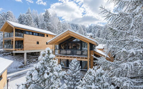 02 Nth052 18C Sup Chalet mit Sauna und Hot Tub 2 e: Gebäude, Haus, Fenster, Zuhause, Dach, Wohngebiet, Strauch, Hütte, Grundstueck