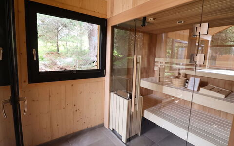02 Nth053 18D Sup Chalet mit Sauna und Hot Tub 2 e: Gebäude, Haus, Fenster, Zuhause, Dach, Wohngebiet, Strauch, Hütte, Grundstueck
