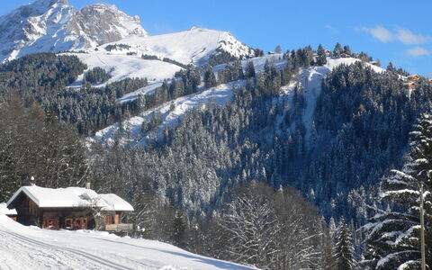 Chalet 1899: Schnee, Bergforms, Berg, Baum, Winter, Gebirge, Hochland, Hügel, Bergstation, Landschaft