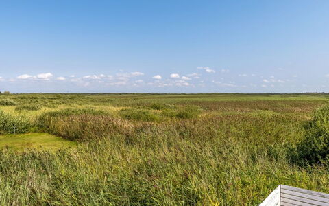 Scarlet - 500M from the Sea: Himmel, Gras, Grün, Wiese, Natürlichen Umgebung, Vegetation, Ökoregion, Natürliche Landschaft, Einfach, Prärie