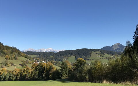 Auffach 602: Berg, Bergforms, Hügel, Gras, Baum, Grün, Natur, Gebirge, Natürliche Landschaft, Vegetation