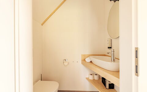 Niederwölz 602: Flooring, Wand, Interior Design, Badezimmer, Armatur, Fussboden, Holz, Decke, Zapfhahn, Installation