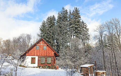 U Kazíků: Baum, Haus, Holz, Zuhause, Hütte, Winter, Dach, Schnee, Ländliches Gebiet, Einfrieren
