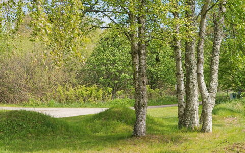 Wreth - 1.5Km from the Sea: Blatt, Grün, Baum, Gras, Ast, Natürlichen Umgebung, Natur, Vegetation, Natürliche Landschaft, Strauch
