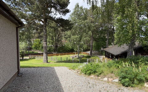 Glencarr: Baum, Strauch, Haus, Zuhause, Hütte, Garten, Grundstueck, Ground, Hinterhof