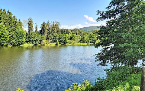 Klaffer am Hochficht 1: Wasservorräte, Wasser, Gewässer, Baum, Grün, Natur, Natürlichen Umgebung, Natürliche Landschaft, Wasserlauf, Bank
