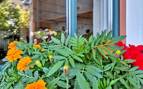 Roiderhof: Blau, Balkon, Geländer, Wohnung, Zaun, Meer, Resort, Eigentumswohnung, Schwimmbad, Hotel