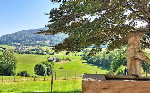 Roiderhof: Blau, Balkon, Geländer, Wohnung, Zaun, Meer, Resort, Eigentumswohnung, Schwimmbad, Hotel