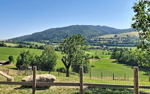 Roiderhof: Blau, Balkon, Geländer, Wohnung, Zaun, Meer, Resort, Eigentumswohnung, Schwimmbad, Hotel