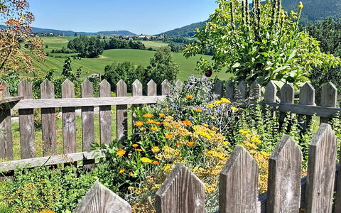 Roiderhof: Blau, Balkon, Geländer, Wohnung, Zaun, Meer, Resort, Eigentumswohnung, Schwimmbad, Hotel