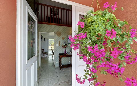La Toulière: Blume, Rosa, Blumentopf, Zimmerpflanze, Floristik, Blumendesign, Balkon, Home Door