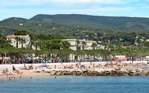 Les Terrasses des Hautsdefonsainte: Küste, Küsten Und Ozeanische Forms, Strand, Ufer, Meer, Erholung, Freizeit, Urlaub, Ozean
