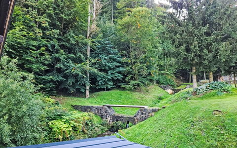 Sára: Gras, Grün, Blatt, Vegetation, Strauch, Garten, Ground, Landscaping, Rasen