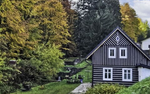Sára: Grün, Baum, Gras, Blatt, Haus, Strauch, Zuhause, Hütte, Ground, Frühling