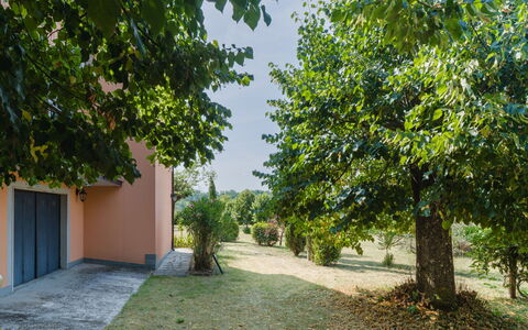 Gli Oleandri di Grazia: Blatt, Ast, Strauch, Garten, Sonnenlicht, Schatten, Rasen, Landscaping, Auffahrt, Garten