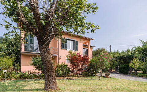 Gli Oleandri di Grazia: Wohngebiet, Haus, Strauch, Zuhause, Hütte, Garten, Estate, Vorort, Garten, Rasen