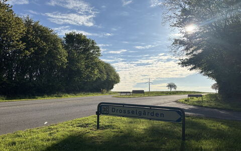 Thilo - 39Km from the Sea: Daytime, Gras, Natur, Ast, Strasse, Strassenbelag, Natürliche Landschaft, Horizont, Landschaft, Asphalt