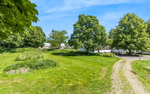 Thilo - 39Km from the Sea: Blau, Himmel, Daytime, Baum, Gras, Ast, Natur, Vegetation, Natürliche Landschaft, Strauch