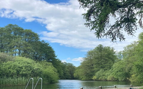 Ry 601: Wasser, Baum, Wasservorräte, Gewässer, Natur, Natürlichen Umgebung, Natürliche Landschaft, Wasserlauf, Ast, Wasserweg