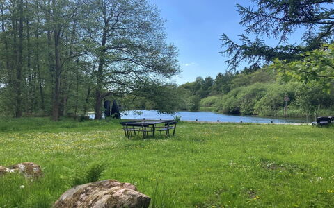 Ry 601: Baum, Gras, Natürlichen Umgebung, Natur, Natürliche Landschaft, Wiese, Landschaft, Einfach, Picknicktisch