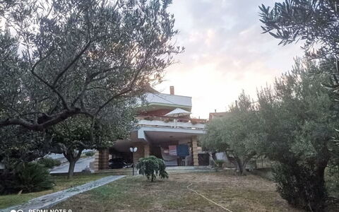 La Terrazza di Colle Marino: Baum, Hazienda, Garten, Landscaping