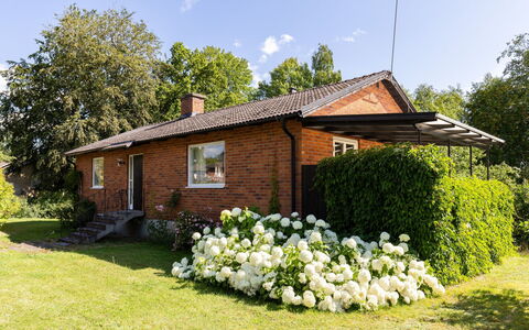 Villa Fröseke: Gras, Haus, Strauch, Dach, Hütte, Garten, Zuhause, Grundstueck, Rasen